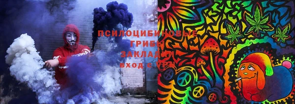 ПСИЛОЦИБИНОВЫЕ ГРИБЫ Балахна