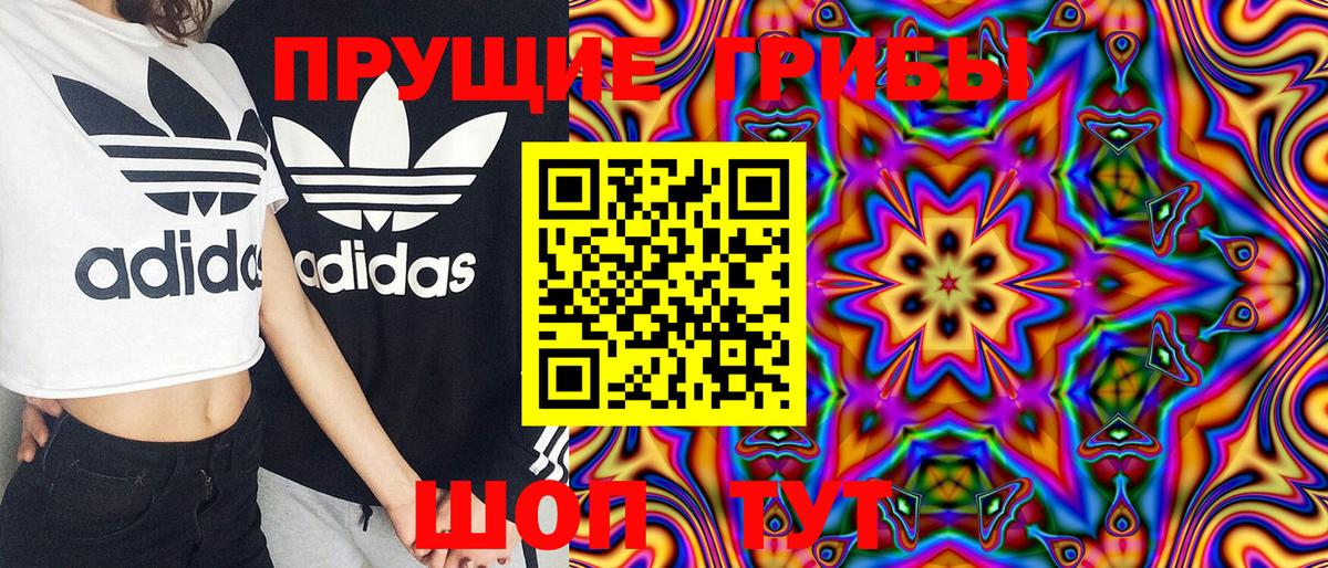 Карачаевск  Галлюциногенные грибы Cubensis  где продают   Вход с VPN 