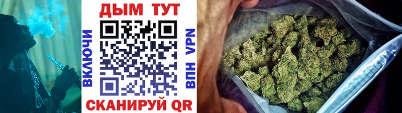 KRAKEN ССЫЛКА  купить наркоту  Карачаевск  Бошки Шишки SATIVA & INDICA 